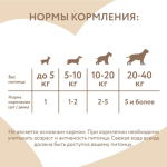 Freeze-Dried Premium Salmon Treats for Dogs 24 pcs (Grain-Free) – Mnyams