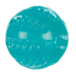 Ball Dog Toy Mint Scent – Denta Fun