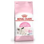 Royal Canin Mother & Babycat First Age Dry Cat Food for Kittens and Pregnant/Lactating Cats, 400 g