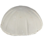 Հաբային կեր ձկների համար