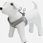 Պրեմիում Շլեյկա Parinca (Մոխրագույն 30–35) Beeztees