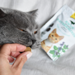 Treat for Cats Duck with Catnip 50 g GimCat Crunchy Snacks