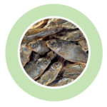 Food for Large Freshwater Turtles (1.8 kg / 10 L) Fishes