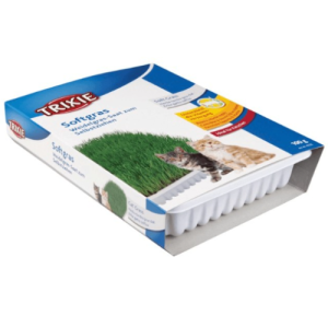 Խոտի սերմեր կատուների ձագերի համար՝ պլաստմասսե տարրայով