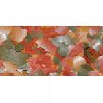 Food for all types of aquarium fish Dajana 80 մլ