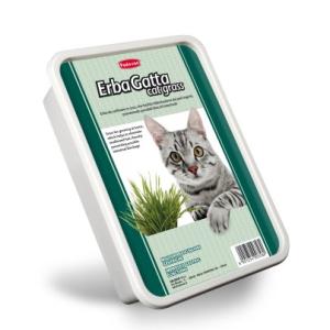 Натуральная трава для кошек