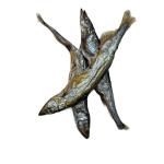 YOKO “Capelin Fish” Treats for Dogs and Cats, 50g