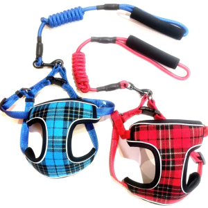 Ձգափոկ + շլեյկա հավաքածու փոքր ցեղատեսակի շների համար