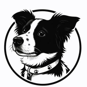 pet_shop_Belka