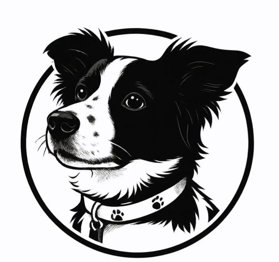 pet_shop_Belka