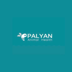 PALYAN