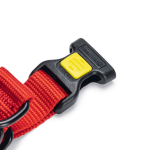 Շան Պրեմիում Վզկապ-(50-55×2.5 սմ) Beeztes