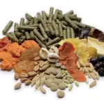 Լիարժեք կեր ծովախոզուկների համար -GrandMix 850g