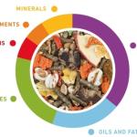 Լիարժեք կեր ծովախոզուկների համար -GrandMix 850g