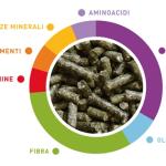 Полноценный корм для роста карликовых крольчат 1kg