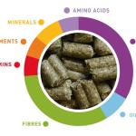 Լիարժեք կեր շինշիլաների համար 1kg