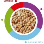 Ալիքավոր թութակների կեր -Padovan