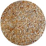 Ալիքավոր թութակների կեր -Padovan