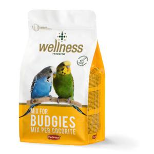 Ալիքավոր թութակների համար լիարժեք կեր – 1 կգ Wellness Budgies