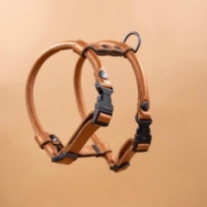 Կաշվե կլոր ամրացվող շլեյկա