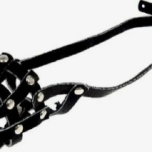 Կաշվե ցանցավոր դնչկալ փոքր շների համար 17սմ/5սմ