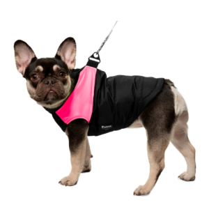 ժիլետ շների համար «Neon», վարդագույն, S