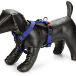 Շան Պրեմիում Շլեյկա-(38-48×2 սմ) Beeztes