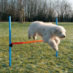 Dog Jump Hurdle with Adjustable Height 123×115 cm