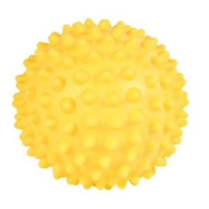 Spiky Massage Dog Ball 16 cm – Trixie