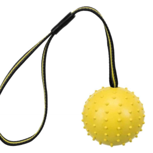 Sport Ball with Nylon Handle for Dogs – Trixie