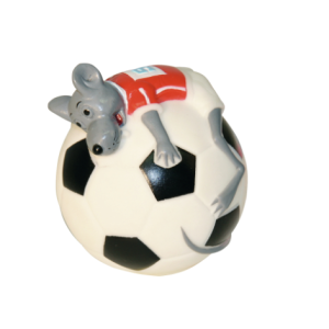 Գնդակ մկնիկով շների համար 10 սմ