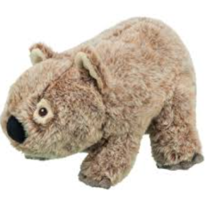 Խաղալիք շների համար՝ կոալա