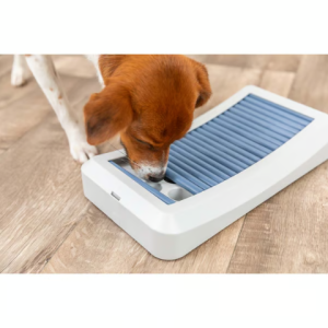 Խաղալիք շների համար