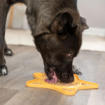 Կերաման շների համար՝ աստղաձև սիլիկոնե