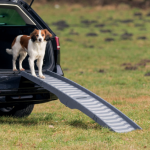 Pet Ramp Ladder – Plastic, Non-Slip (39×150 cm)