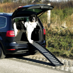 Կենդանիների սանդուղք՝ պլաստիկե, մոխրագույն (39×160 սմ)