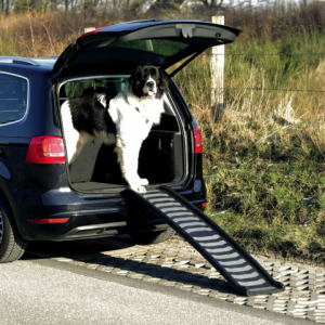 Կենդանիների սանդուղք՝ պլաստիկե, մոխրագույն (39×160 սմ)