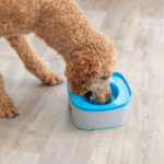 Дорожная поилка для собак, 1.1 л