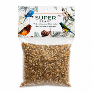 Sea Snail Shells for Birds