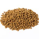 WINNY Kitten - Complete Dry Food for All Breeds, 10kg