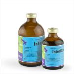 Ինտերֆլոքս 100մլ – Լայն սպեկտրի հակաբակտերիալ լուծույթ կենդանիների համար