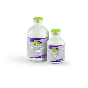 Պենստրեպ-400 շների, կատուների համար ինտենսիվ հակաբակտերիալ լուծույթ 50 մլ