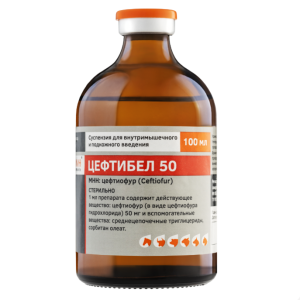 Ceftibel 50 (100ml) - Broad-spectrum antimicrobial suspension