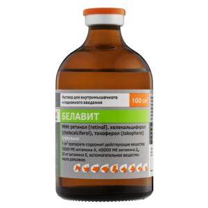 Բելավիտ 100մլ — Վետերինար դեղամիջոց