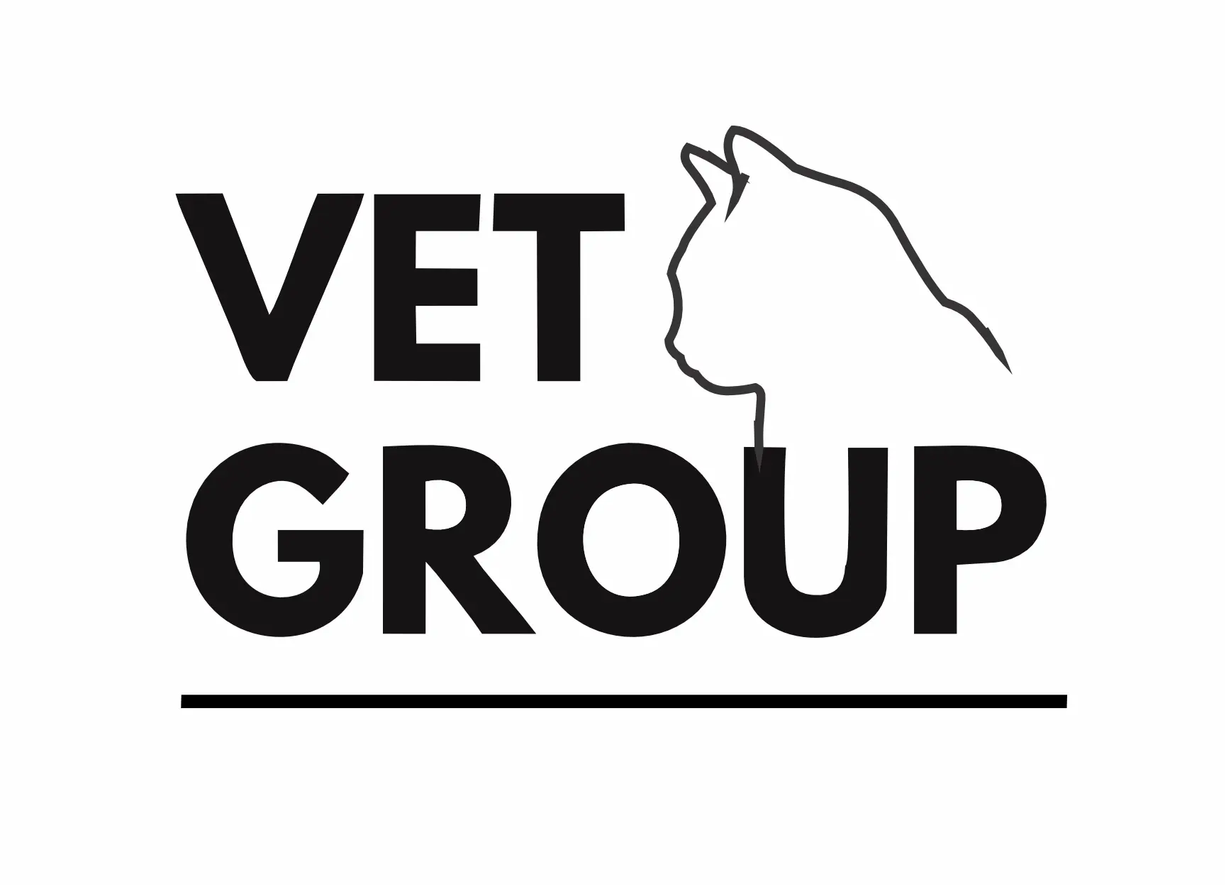 Vet Group LLC