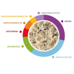 Soft Food for Seed-Eating Birds 300g Blanc Pâtée