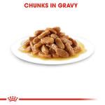 Royal Canin Medium Puppy Gravy – Wet food for medium breed puppies up to 12 months, 140 g (pack of 10)