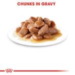 Royal Canin Hairball Care Gravy, влажный корм для взрослых кошек, 85 г (10 шт)