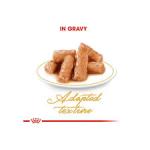 թաց կեր (սոուսով) բրիտանական կարճմազ կատուների համար, 85 գ (10 հատ) Royal Canin British Shorthair Gravy