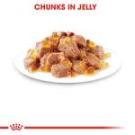 Թաց կեր ստերիլիզացված կատուների համար | 85 գ (10 հատ) Royal Canin Sterilised Jelly